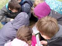 dscf9610_small.jpg